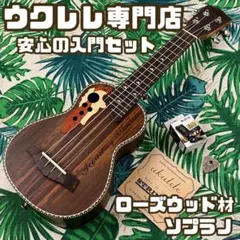 アカシア材】Longteamのホヌ模様・コンサートウクレレ【ウクレレ専門店