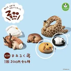 Item thumbnail for item ebef1eac-98b6-46aa-a910-a575613934f8