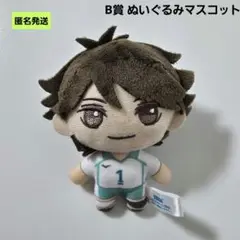 【匿名】ハイキュー 及川徹 セガラッキーくじ B賞ぬいぐるみマスコット