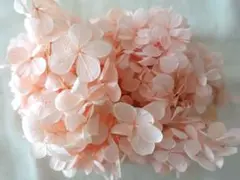 ピンクのアジサイプリザーブドフラワー 花材