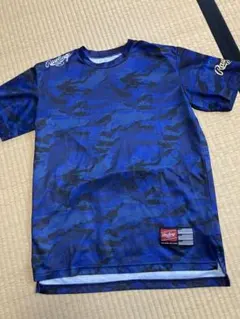 Item thumbnail for item 405c6726-cc09-4639-83b6-990663b9d0d5