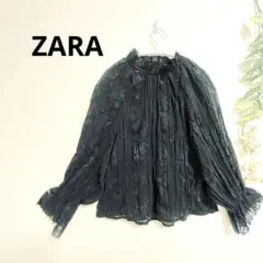 【極美】ZARA シアー 総レース　ブラウス 花柄刺繍 キャンディスリーブ 黒M