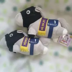 Item thumbnail for item d9e10834-4b7f-49b2-8ece-25cd0b95c299