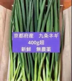 【採れたて新鮮！】京都府産 伝統野菜　無農薬　九条ネギ 400gのサムネイル