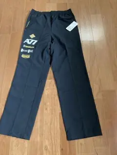 Item thumbnail for item 58f7b421-c905-4b04-9eaa-12a583cc79e6