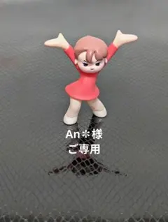 ★An✽様ご専用★