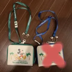 バケーションパッケージ限定　ディズニーリゾート　パスケース 緑のみ
