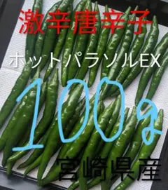 2026年最新】ホットパラソルEXの人気アイテム - メルカリ