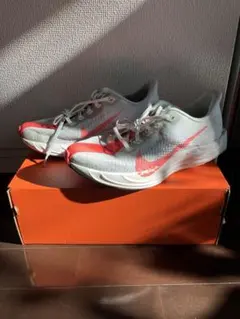 NIKE PEGASUS PLUS (27cm)