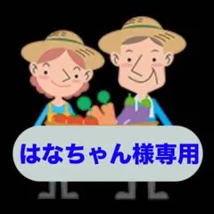はなちゃん様専用 淡路島新玉ねぎ 秀品 貴錦3kg 減農薬 夢玉 半分茎付き