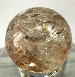 2025年最新】ガーデンスフィアの人気アイテム - メルカリ