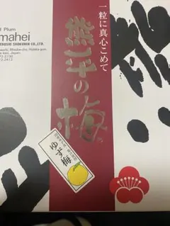 Item thumbnail for item 8327b80a-1682-4979-8434-ff2cb175bd73