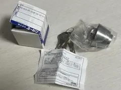 Item thumbnail for item 41966095-b73c-4f7f-962d-32d1a04fe65e