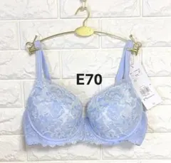 トリンプ　レッドレーベル0121　クチナシの花と蕾　ブラジャー　ブルー　E70のサムネイル