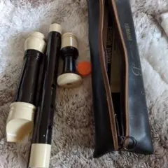 Item thumbnail for item 78fadb0c-d968-44ef-b917-fff625ce4802