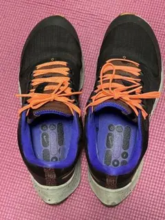 Nice air zoom Pegasus 38 shield DC4073