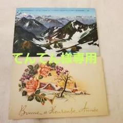 てんてん様専用になります。