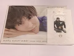 柏木悠 カレンダーブック ・君には届かない フォンタブ付きのサムネイル