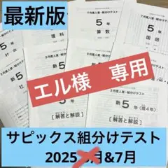 2026年最新】sapix 組分けテスト 新5年の人気アイテム - メルカリ