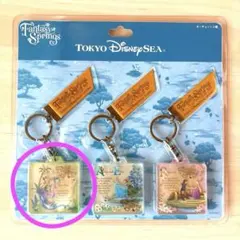 新品未開封 ファンタジースプリングス キーチェーン ピーターパン ディズニー
