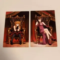 エヴァンゲリオン 30周年記念カード 2枚セット