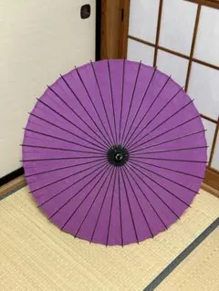 蛇の目傘　番傘　布傘　二段継　和傘　傘　日傘　舞踊　大衆演劇　着物　和装　撮影