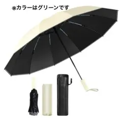 晴雨兼用　メンズ用　ボタン式 大きめ傘　収納ケース付き グリーン
