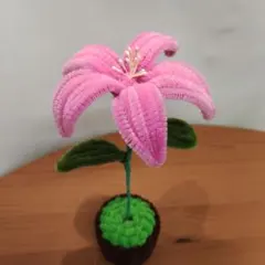 鉢植えモールフラワー