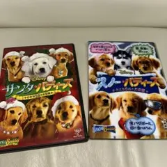 ウォルトディズニー　サンタバディーズ＆スノーバディーズDVD