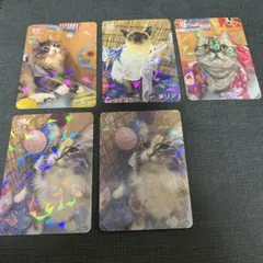 猫カフェmocha にゃんずトレカ わくわく夏祭り 吉祥寺店 - メルカリ