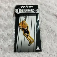 ハイキュー　日向翔陽　アクリルキーホルダー