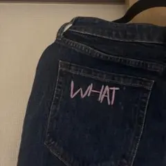Hollister デニムパンツ WHAT刺繍入り　archiveのサムネイル