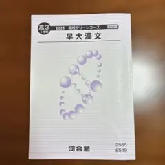 河合塾 高校グリーンコース 入試頻出英文法・語法 2024 スタート学期/1学期 計2冊 040M0D 河合塾 高校グリーンコース 入試頻出英文法・語法 2024 スタート