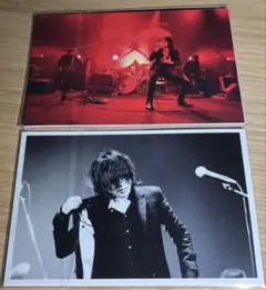 2025年最新】エレファントカシマシ 30th anniversaryの人気アイテム