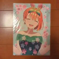 五等分の花嫁 中野四葉 クリアファイル