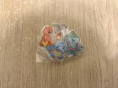 ポケモン 旅立ちの3匹 アクリルスイング アクキー ガチャガチャ