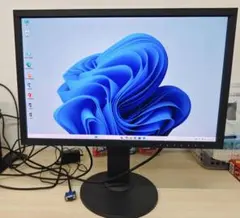 EIZO ColorEdge CS2420 24.1型液晶モニター　UXGA