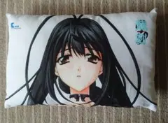 龍刻 RYU-KOKU　ミニクッション