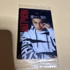 HiGH&LOW ハイロー ウエハース カード 白濱亜嵐 BERNIE