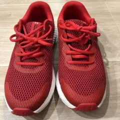 UNDER ARMOUR Charged Rogue 2 レッド 27cm