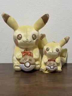 ポケモンセンター 30周年記念 ピカチュウ ぬいぐるみ マスコット 2点セット