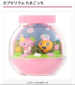 たまごっち カプセリウム ふらわっち&めめっち