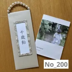 200 千歳飴袋　ちとせあめ　ハンドメイド　淡色　七五三のサムネイル