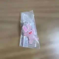 ノンタン　めじるしアクセサリー2 うさぎさん