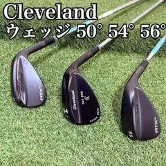 Item thumbnail for item 72e351f0-7d75-4a68-aae5-c53f77deb030