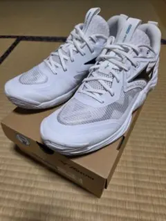 Item thumbnail for item 2ee5a699-b009-47b1-a698-3de63959c8c9