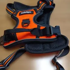 Item thumbnail for item 7218bc88-515f-4c02-98c9-d414dd98f9b4