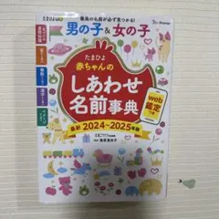 Item thumbnail for item ddbe519d-c712-4bc4-9029-4bcc03a25b38