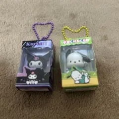【訳あり】サンリオチョコボックス　クロミ＆ポチャッコ
