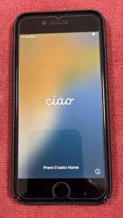 iPhone SE2 初期化済　ケース付